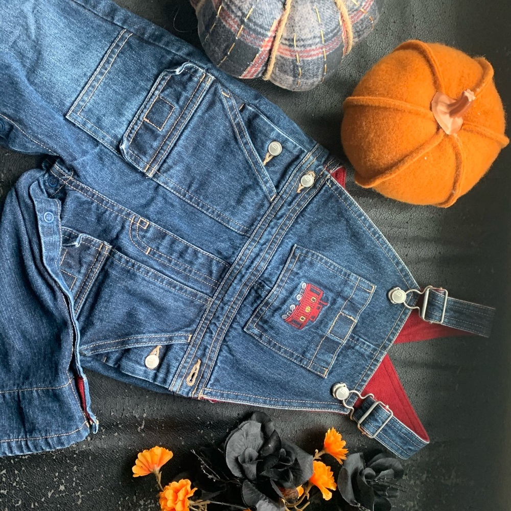 Gymboree Fleece Lined Overalls
